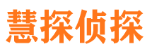 恒山市侦探调查公司